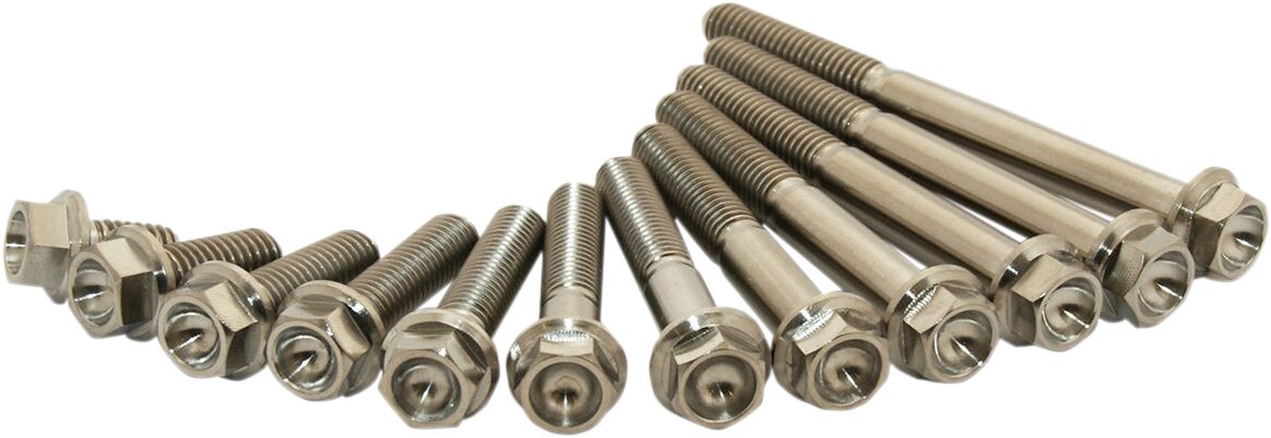 TITANIUM BOLT M6X15 PACK