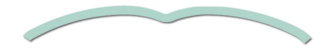 MUDFLAP 3309 RAPID