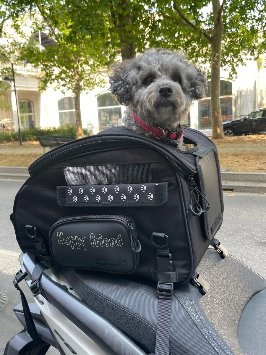 Pet Bag (30 Liters)