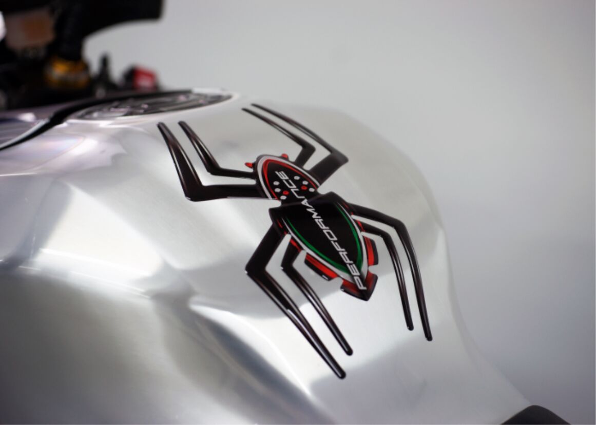 Paagipadi Spider