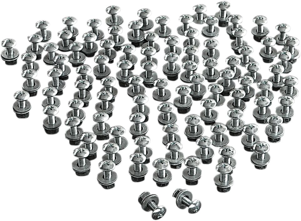 LICENSE PLATE BOLTS-100P