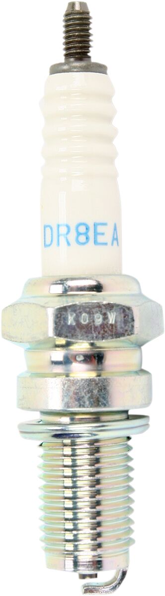 Süüteküünal DR8EA