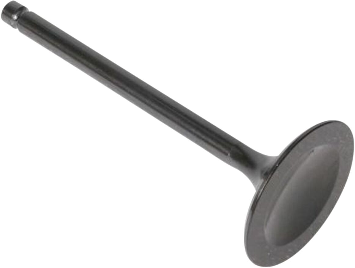 Sisselaskeklapp Black Diamond