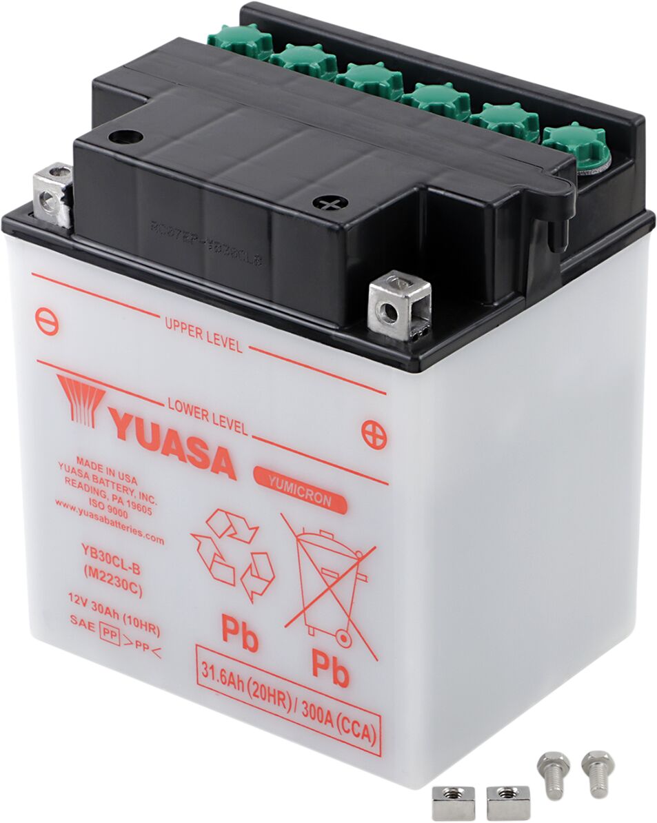 Aku Yumicron 12V, 168 mm x 132 mm x 192,2 mm, tavaline pliihappe asendus, läbipaistev